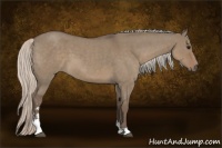 Horse Color:Silver Grullo Roan Sabino 