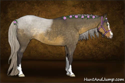 Horse Color:Silver Smoky Grullo Roan Sabino