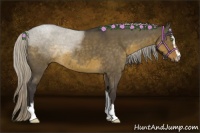 Horse Color:Silver Smoky Grullo Roan Sabino