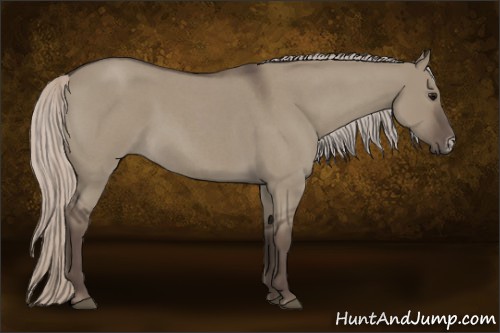 Horse Color:Silver Grullo Roan Frame 