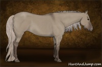 Horse Color:Silver Grullo Roan Frame 