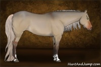 Horse Color:Silver Brown Dun Sabino