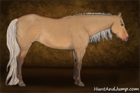 Horse Color:Silver Bay Dun Sabino