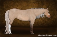 Horse Color:Silver Brown Roan Dun 