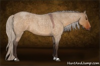 Horse Color:Silver Brown Roan Dun 