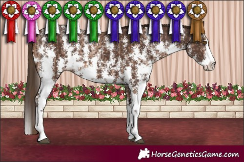 Horse Color:Brown Pearl Sabino  and Liver Chestnut Sabino Splash 