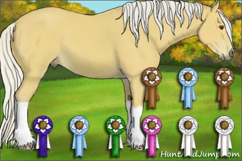 Horse Color:Silver Buckskin 