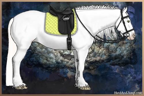 Horse Color:Silver Amber Champagne Roan Dun Splash Tobiano Frame Varnish Rabicano 