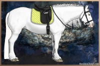 Horse Color:Silver Amber Champagne Roan Dun Splash Tobiano Frame Varnish Rabicano