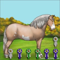 Horse Color:Silver Bay Pearl Frame