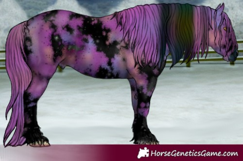 Horse Color:ERROR: UNKNOWN ANOMALY