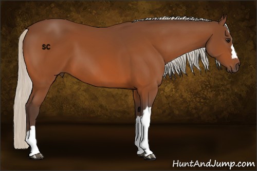 Horse Color:Silver Brown 