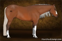 Horse Color:Silver Brown 
