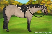 Horse Color:Brown Dun 