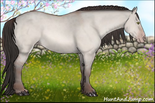 Horse Color:Amber Champagne Dun 