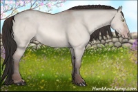 Horse Color:Amber Champagne Dun