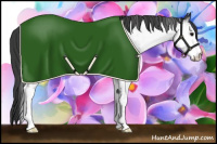 Horse Color:White Spotted Black Appaloosa 