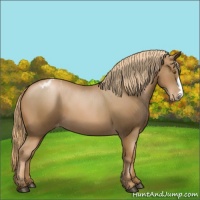 Horse Color:Liver Chestnut Pearl Varnish 