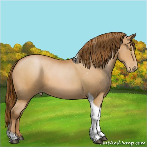 Horse Color:Bay Pearl Tobiano 
