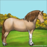 Horse Color:Bay Pearl Tobiano 