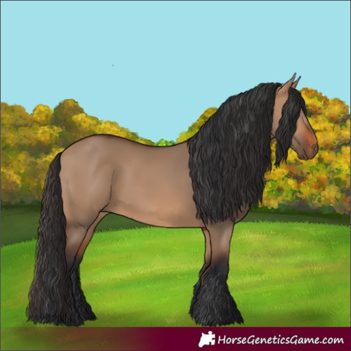 Horse Color:Bay Dun