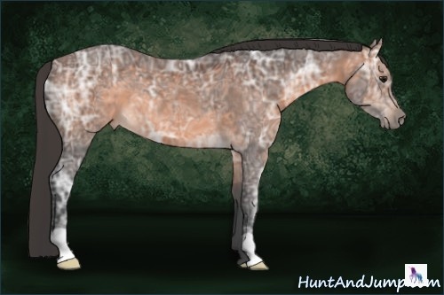 Horse Color:Brown Ice 