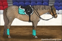 Horse Color:Chocolate Palomino Roan