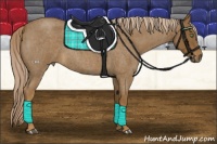 Horse Color:Chocolate Palomino Roan 