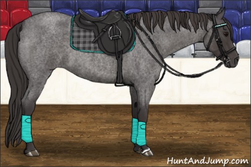 Horse Color:Smoky Blue Roan 