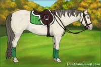 Horse Color:Amber Cream Champagne Roan 