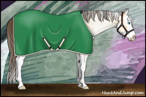 Horse Color:White Spotted Amber Cream Champagne Roan Splash 