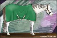 Horse Color:White Spotted Amber Cream Champagne Roan Splash 