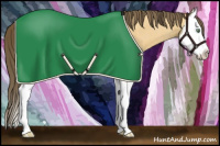 Horse Color:Amber Cream Champagne Roan Splash 