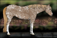 Horse Color:Gray Chestnut Ice 