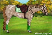 Horse Color:Red Ice Roan 