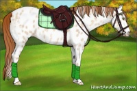 Horse Color:Gold Champagne Ice Dun Near Leopard