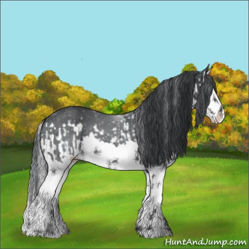 Horse Color:Silver Black Chinchilla Splash  and Black Chinchilla Splash 