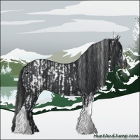 Horse Color:White Spotted Black  and Black 