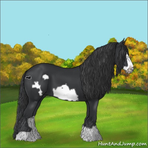 Horse Color:Black Frame 