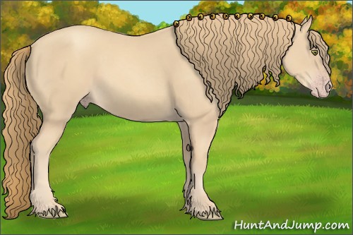 Horse Color:Gold Champagne 