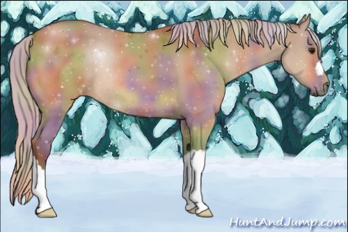 Horse Color:Nacre Silver Bay 