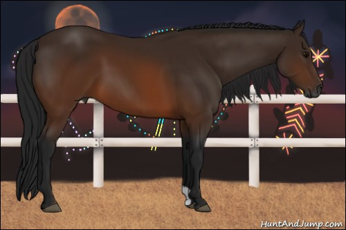 Horse Color:Gray Brown 