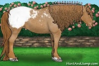 Horse Color:Red Roan Snowcap 