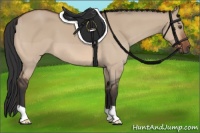 Horse Color:Brown Dun 