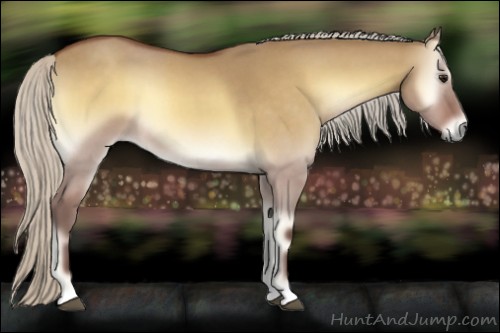 Horse Color:Silver Buckskin Roan Onyx 