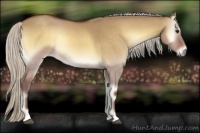 Horse Color:Silver Buckskin Roan Onyx