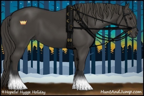 Horse Color:Smoky Black 