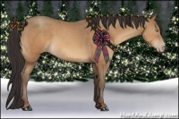 Horse Color:Sable Champagne Sabino 