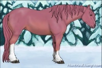 Horse Color:Watercolor Chestnut 