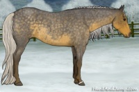 Horse Color:Silver Smoky Blue Roan 